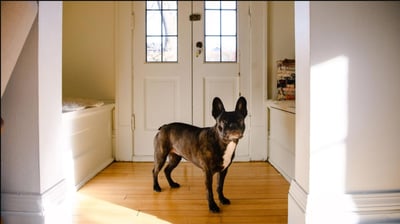 Por qué algunas propiedades no son adecuadas para Airbnb en Yucatán